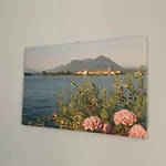Διαμέρισμα Rosada