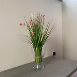 Rosada *