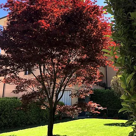 Rosada Stresa